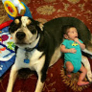 Meet your Posher, Marty